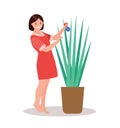 A woman waters indoor flowers. Gardener, florist. Vector illustration Royalty Free Stock Photo