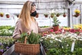 Woman wearing FFP2 face mask and shopping flowers and plants in garden center Royalty Free Stock Photo