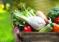 Woman wearing gloves with fresh vegetables in the box in her han