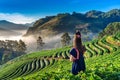 Woman wearing hill tribe dress in strawberry garden on Doi Ang Khang , Chiang Mai, Thailand. Royalty Free Stock Photo