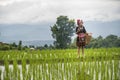 A woman wearing a hill tribe outfit is having trouble with the phone signal. Tense stressed annoyed young asian woman holding