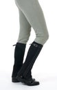 Woman wearing horse riding boots and breeches Royalty Free Stock Photo