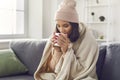 Woman wearing a knitted sweater and hat sitting on the sofa wrapped in a plaid drinking hot coffee. Royalty Free Stock Photo