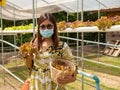 A woman wearing a mask Holding organic vegetable storage basket in the garden Royalty Free Stock Photo