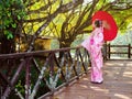 Woman is wearing Pink and flower Japanese Traditional Dress Kimono.