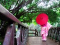 Woman is wearing Pink Japanese Traditional dress style Kimono. Girl is holding red umbrella. Royalty Free Stock Photo