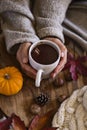 Woman wearing warm sweater holding mug of hot chocolate Royalty Free Stock Photo