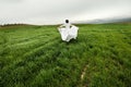 Woman wearing a wedding dress running in the field Royalty Free Stock Photo