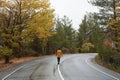Woman wearing yellow coat walking in the mountain road in autumn. Royalty Free Stock Photo