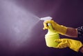 Woman wearing yellow rubber gloves using green spray bottle. Royalty Free Stock Photo