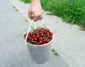Woman wears cherries in a bucket