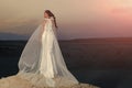 Woman in wedding dress and veil, back view Royalty Free Stock Photo