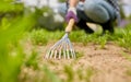 Woman weeding flowerbed with rake at summer garden