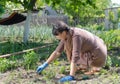 Woman weeding her vegetable garden Royalty Free Stock Photo