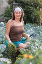 Woman Weeding Vegetable Garden