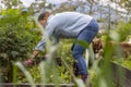 woman weeding vegetable garden with her dog by her side