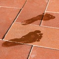 Woman wet foot imprint on a red tile floor