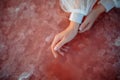 Woman wets her hands in the pink salty lake with crystals of salt Royalty Free Stock Photo