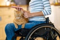 Woman in wheelchair with cat on her lap Royalty Free Stock Photo