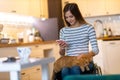 Woman In Wheelchair on Smartphone At Home Royalty Free Stock Photo