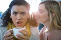 Woman whispering a secret into her friends ear while having coffee Royalty Free Stock Photo