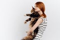 Woman on a white background holds a cat, maine coon, pets Royalty Free Stock Photo