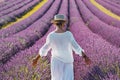 Woman with white clothes and hat walking in lavender violet field flowers. Female enjoy scenic travel destination. Outdoor leisure Royalty Free Stock Photo