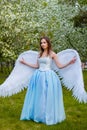 woman in a white corset and blue lush dress with large white angel wings behind her back Royalty Free Stock Photo