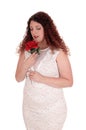 Woman in white dress and rose. Royalty Free Stock Photo