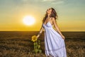 Woman in white dress in a wheat field with a sunflower flower at sunset Royalty Free Stock Photo