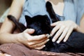 A woman with a white manicure strokes a black cat