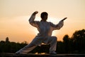 Woman in white suit make's taiji chuan - 5 Royalty Free Stock Photo