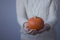 The woman in a white sweater holds pumpkin in hand