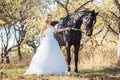 Woman in white wedding dress walking with a horse in autumn park Royalty Free Stock Photo