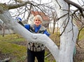 A woman whitens the trunk of a fruit tree. Spring garden work Royalty Free Stock Photo