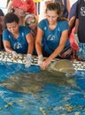 Woman who feeds the breed fish on Project Tamar tank at Praia do Forte in Brazil