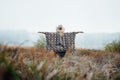 Woman in wide-brimmed felt hat and authentic poncho standing in high brown grass at foggy morning Royalty Free Stock Photo