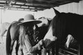 woman in a widebrimmed hat tending to horses in a stable Royalty Free Stock Photo