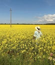 Woman on wild field blossom yellow flowers and bright sky with white clouds summer nature landscape, green field in countryside Royalty Free Stock Photo