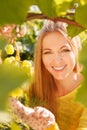 Woman winegrower picking grapes