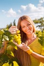 Woman winegrower picking grapes at harvest time Royalty Free Stock Photo