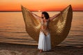Woman with wings at sunset Royalty Free Stock Photo