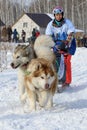 Woman winter Sunny day in the sled rides a dog sled with two Alaskan Malamute on holiday in Novosibirsk