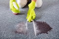 Woman Wiping Stains On The Carpet With Spray Bottle