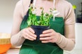 Woman with withered flower in pot