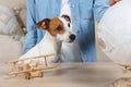 Woman at wooden table near globe, toy plane and dog indoors. Travel with pet concept