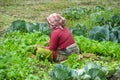 Woman work in the vegetable garden in the village