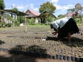 a woman worker sowing Indigofera suffruticosa seeds in a nursery field,with the hot morning sun.