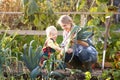 Woman working on allotment with child Royalty Free Stock Photo