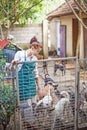 Woman working in animal shelter Royalty Free Stock Photo